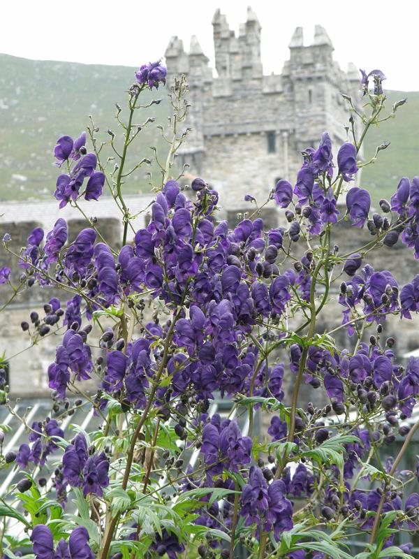 20100807p monnikskap castle Gleveagh.JPG